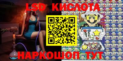 стаф Кунгур