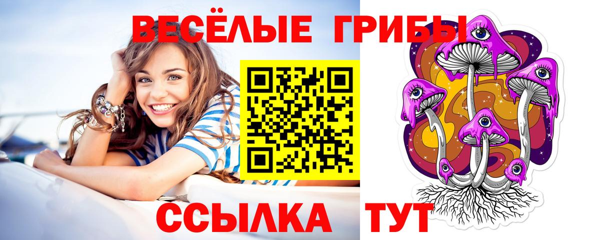 Псилоцибиновые грибы Cubensis  Вход с VPN  купить  цена  Добрянка 
